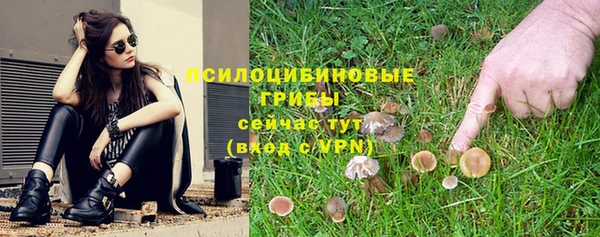 первитин Алексеевка