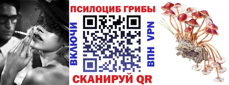мориарти состав  Миасс  Галлюциногенные грибы Cubensis 