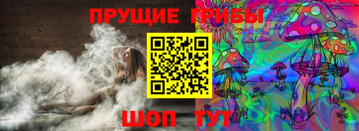 Галлюциногенные грибы Psilocybine cubensis Миасс